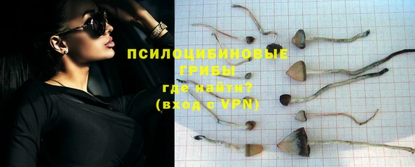 не бодяженный Гусиноозёрск