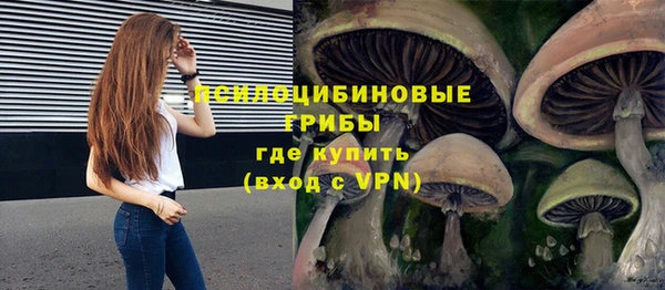 не бодяженный Гусиноозёрск