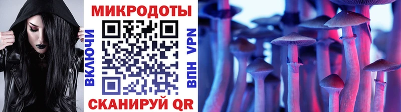 купить наркотик  Электросталь  Псилоцибиновые грибы мухоморы 