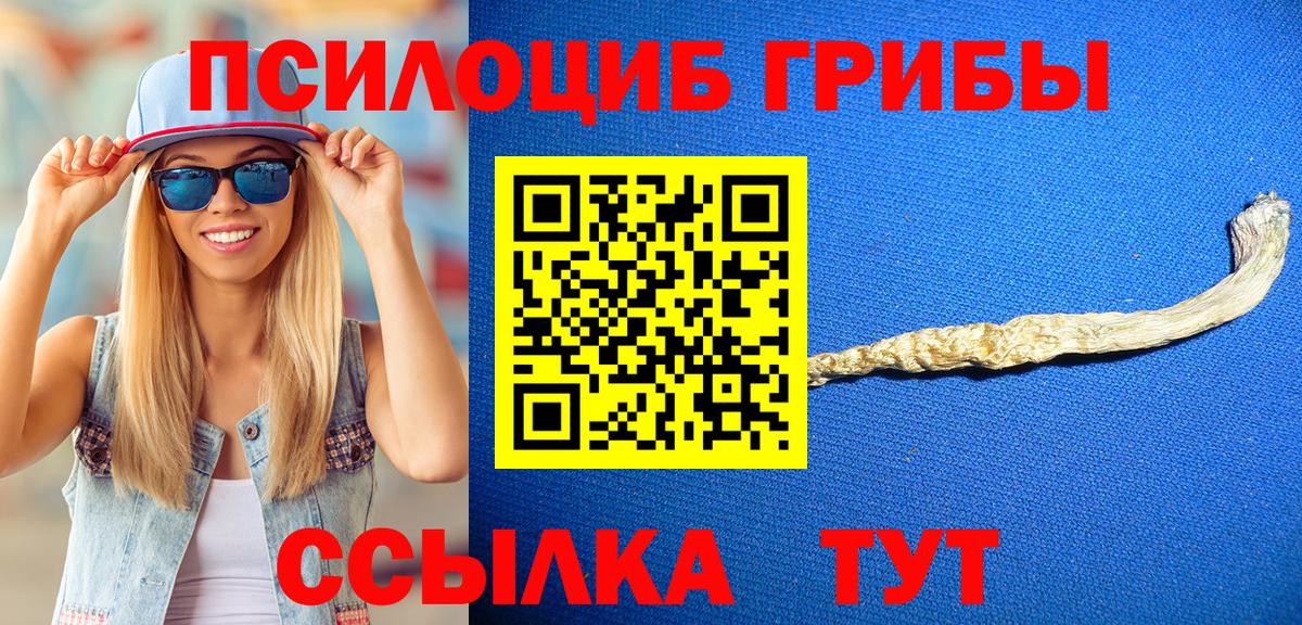 Галлюциногенные грибы Psilocybine cubensis  Вход с VPN  Электросталь 